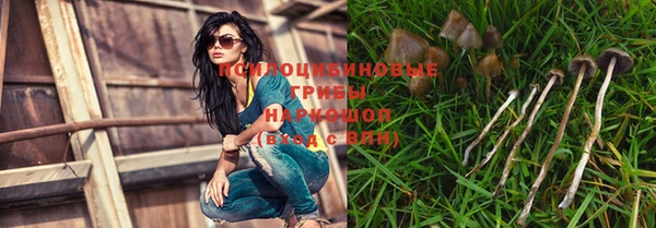 СК Арсеньев
