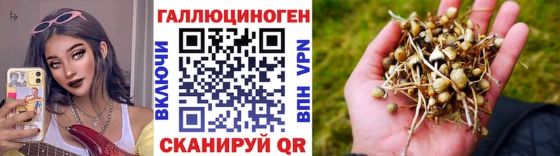 KRAKEN tor  Суздаль  Псилоцибиновые грибы ЛСД 